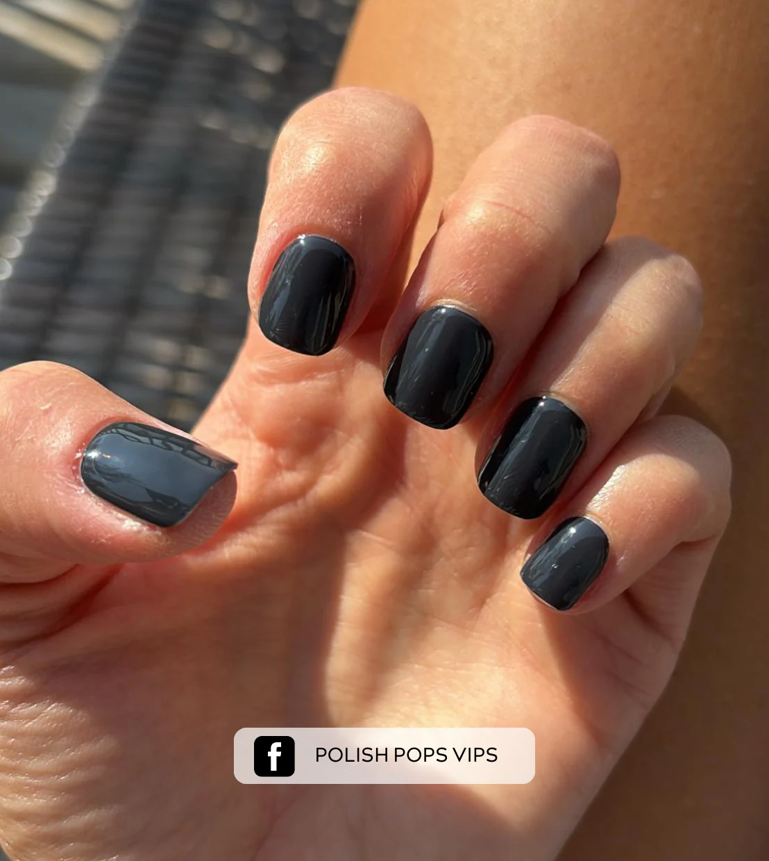 Black Swan - Image 3