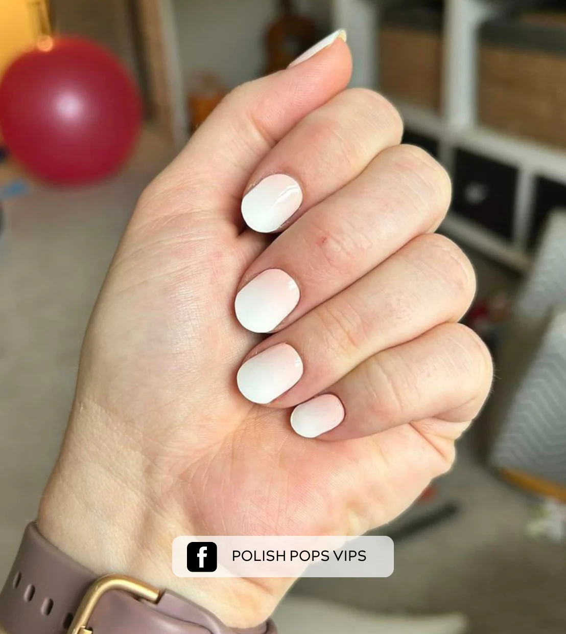 Baby Boomer (Starter Kit) - Image 3