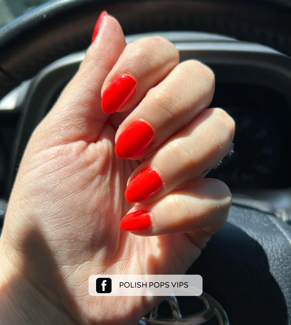 Fiery Red (Starter Kit) - Image 3