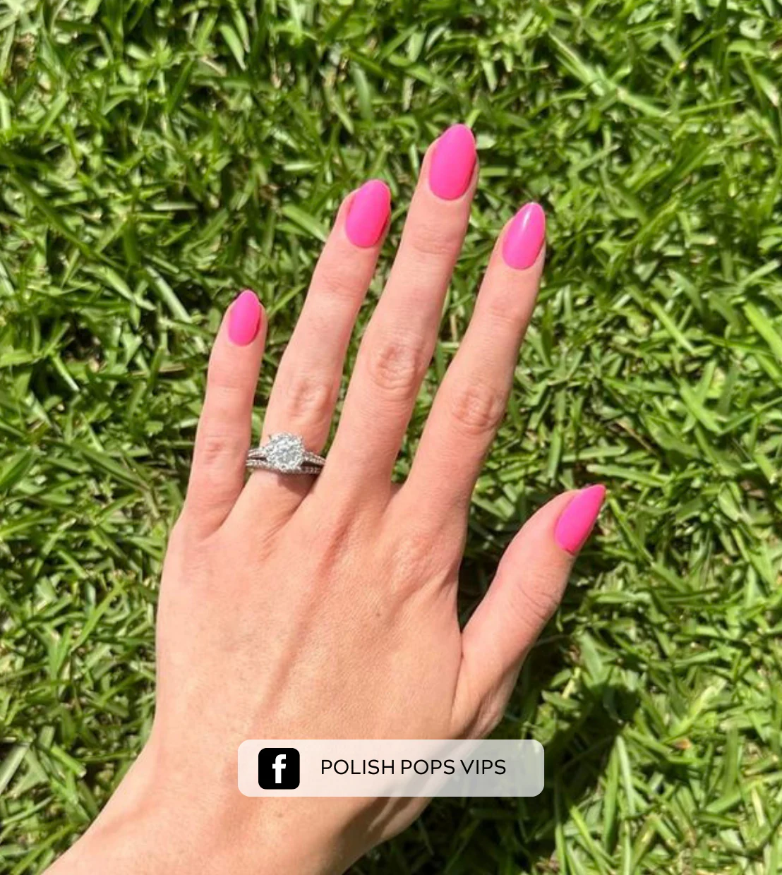 Coral Crush - Image 3