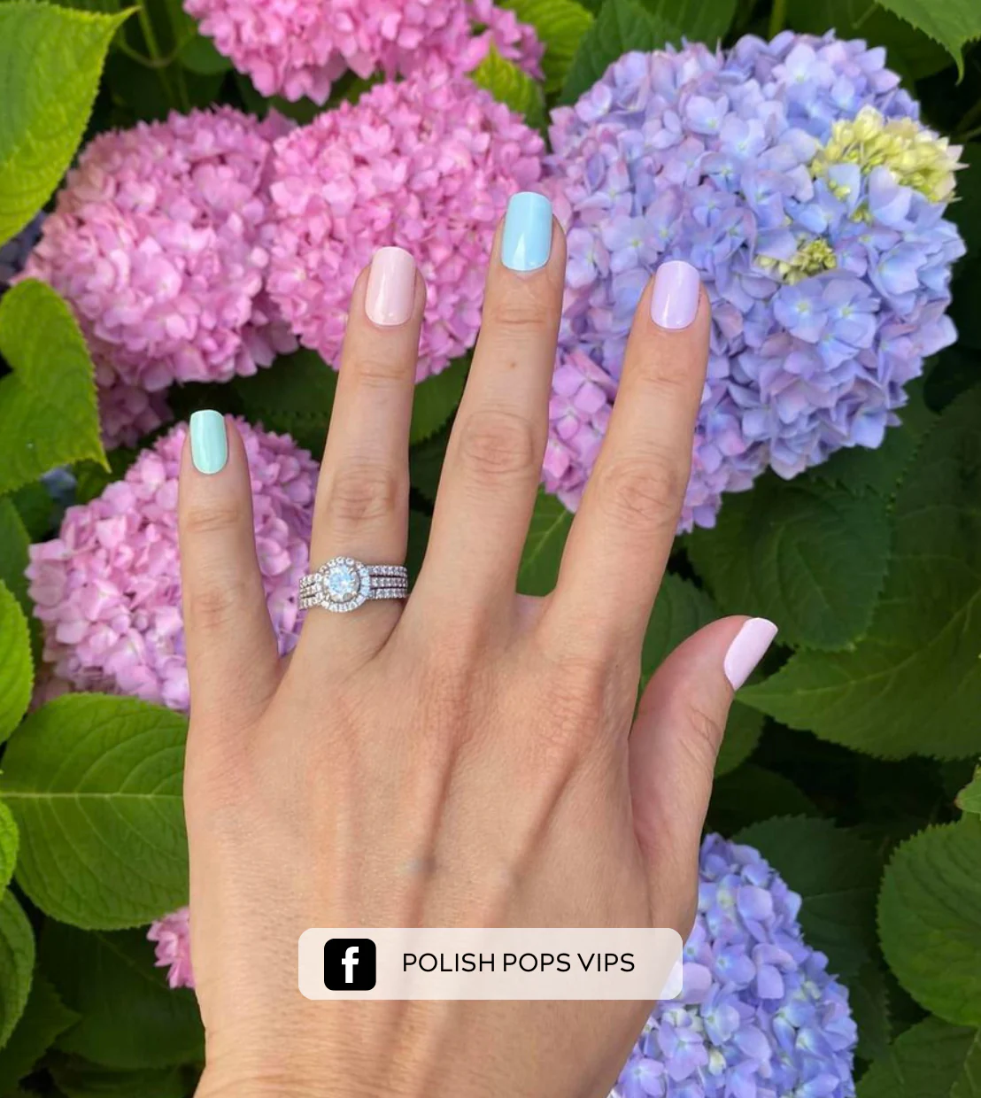 Rainbow Row - Image 3