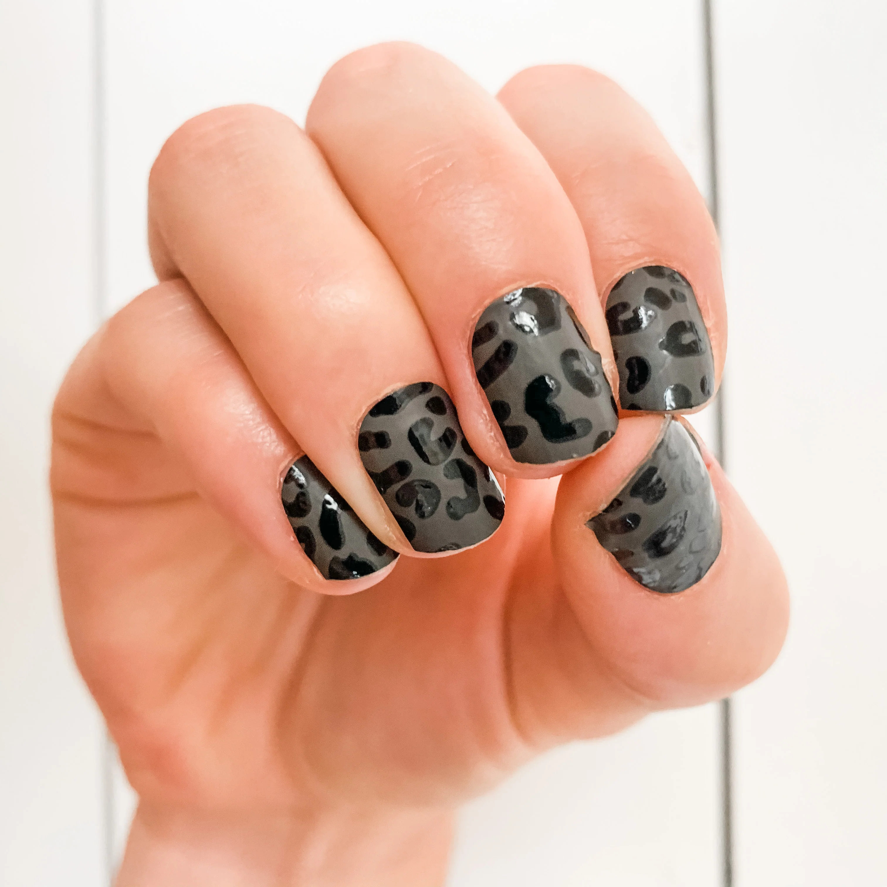 Leopard Is The New Black - Image 4